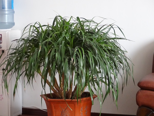 我公司參加洛陽市二屆工業(yè)博覽會花絮 我公司參加洛陽市二屆工業(yè)博覽會花絮